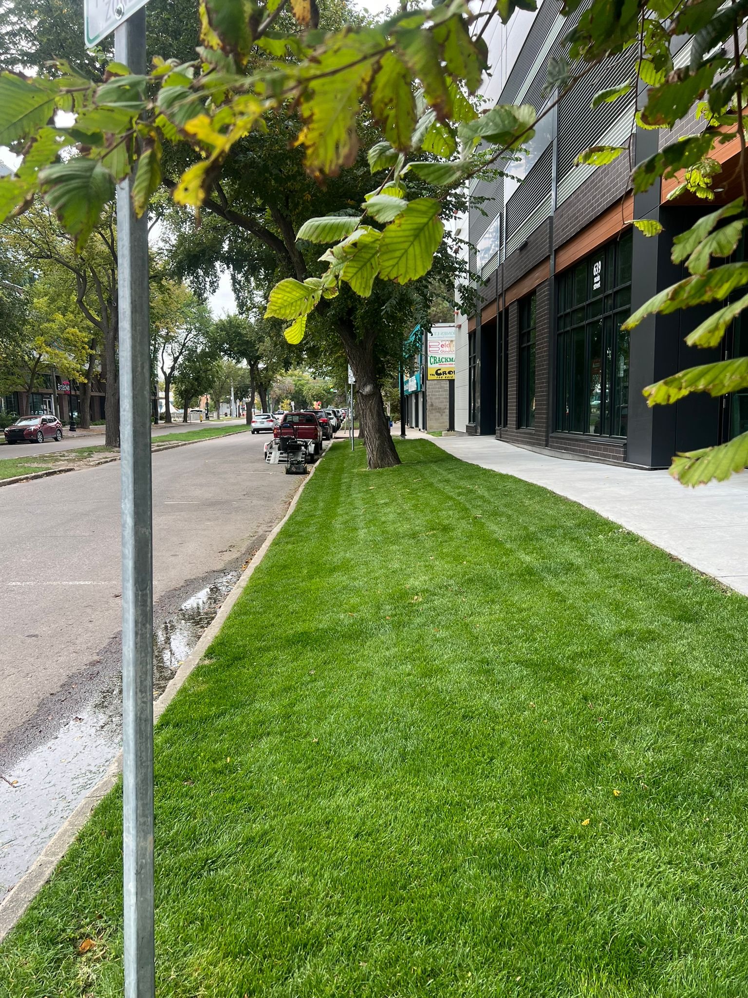 Green Habit Gardening Work