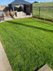 Grass Cutting
