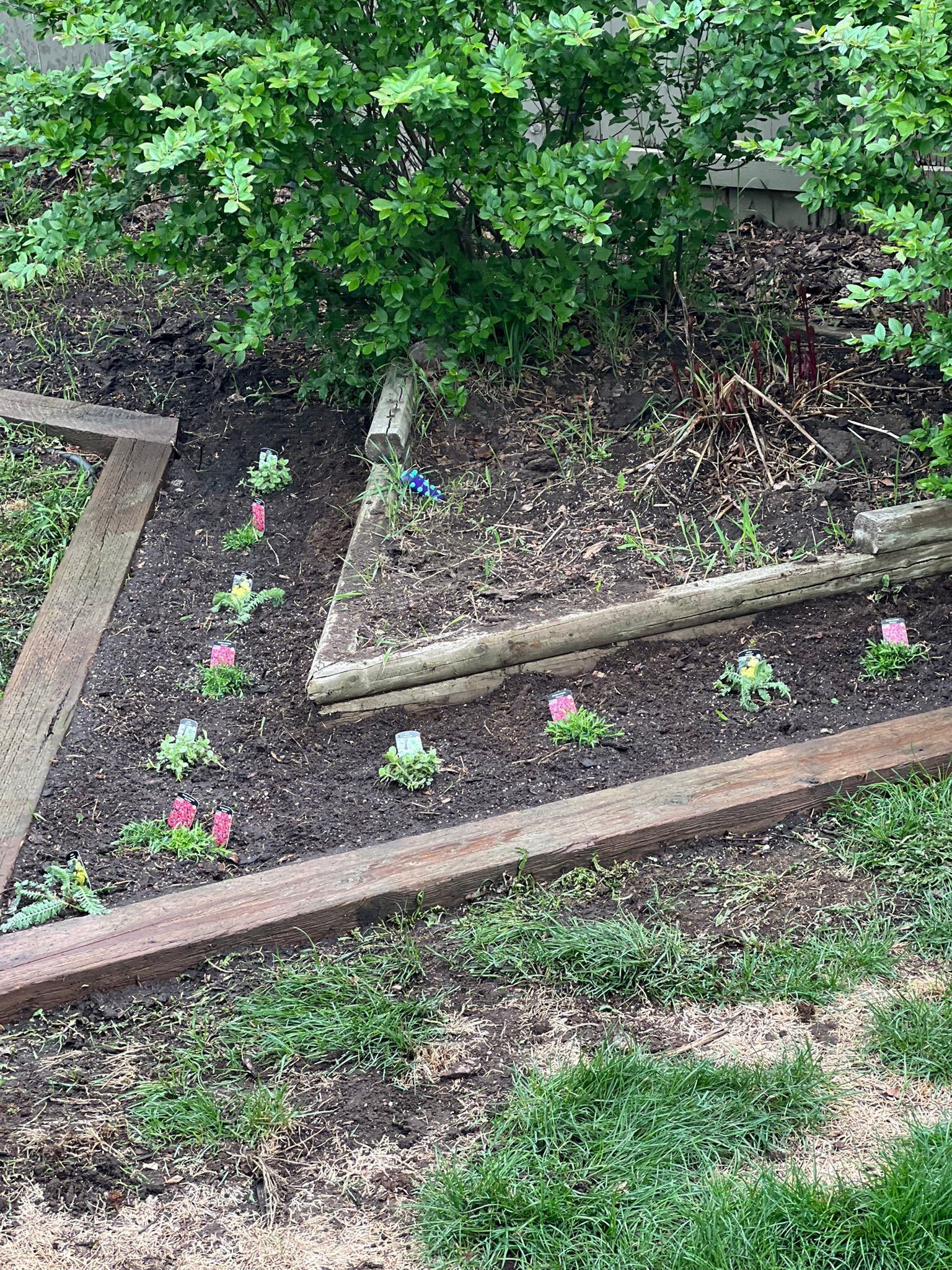 Seasonal Planting