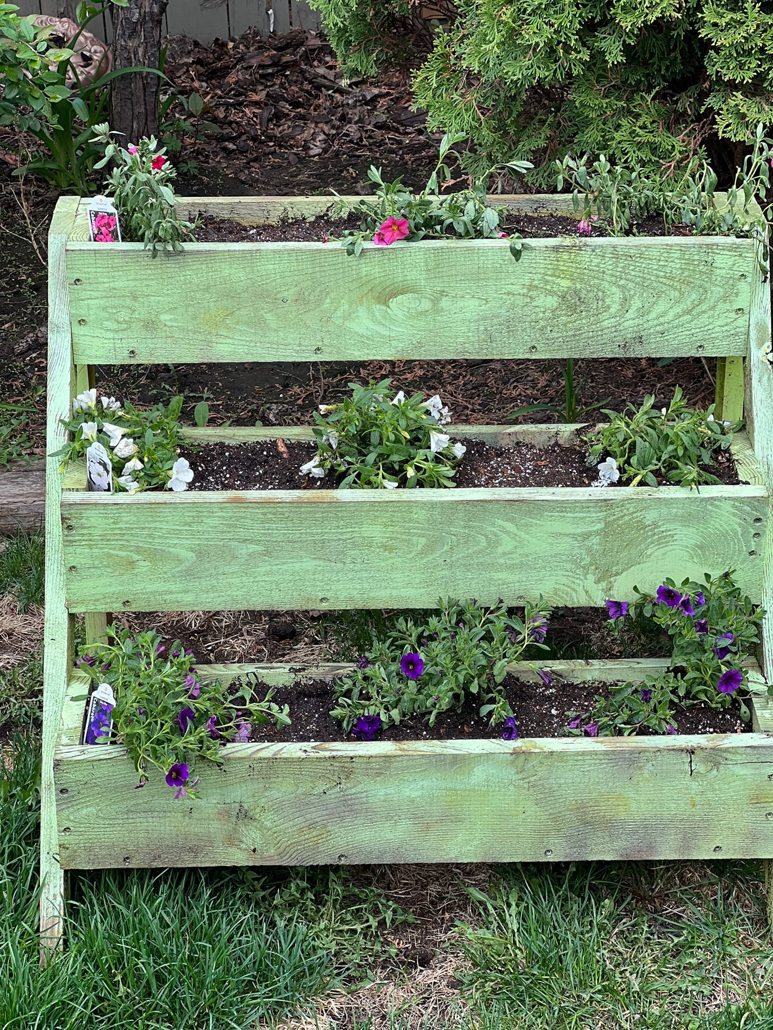 Seasonal Planting