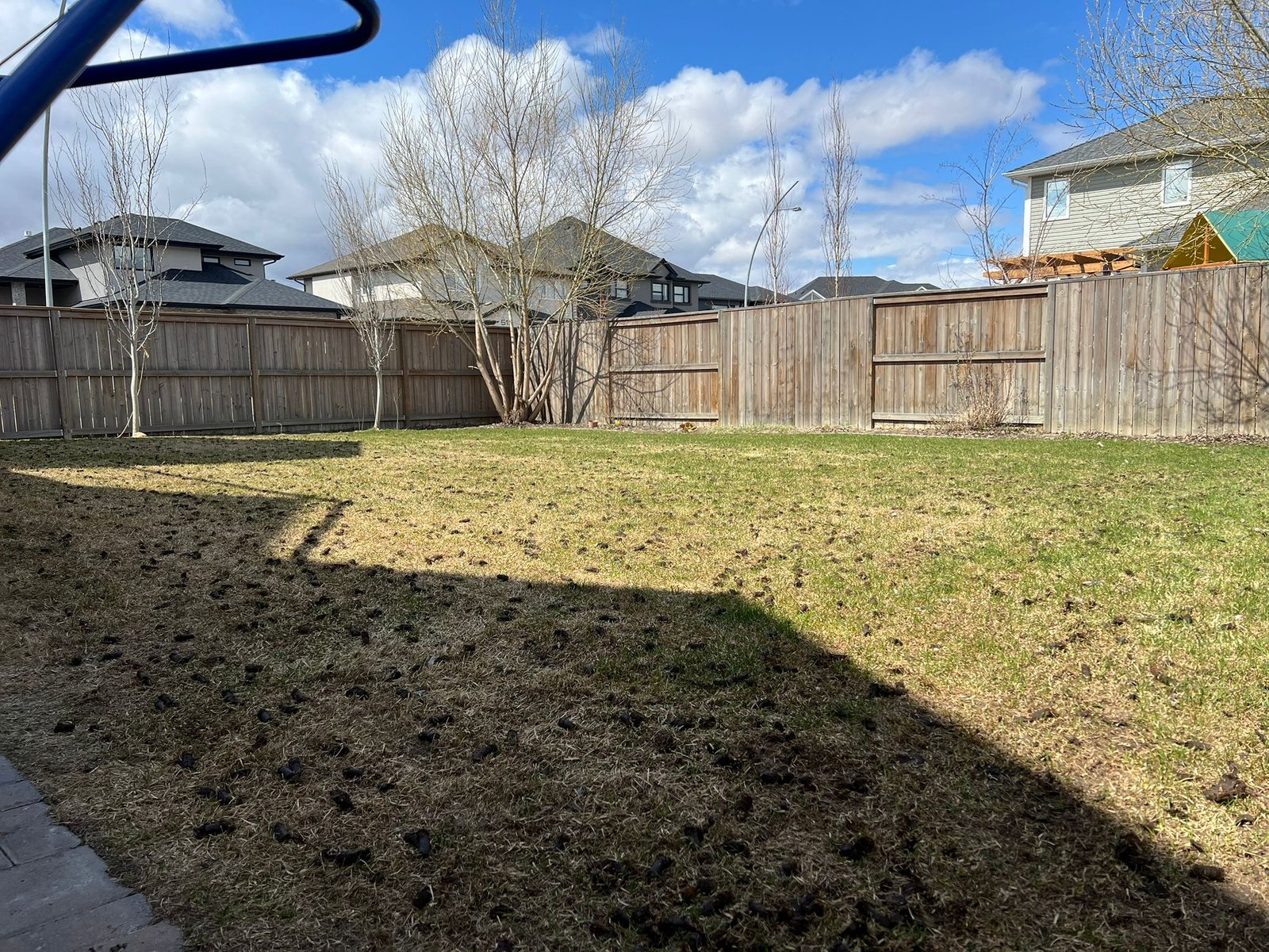 Aeration lawn care