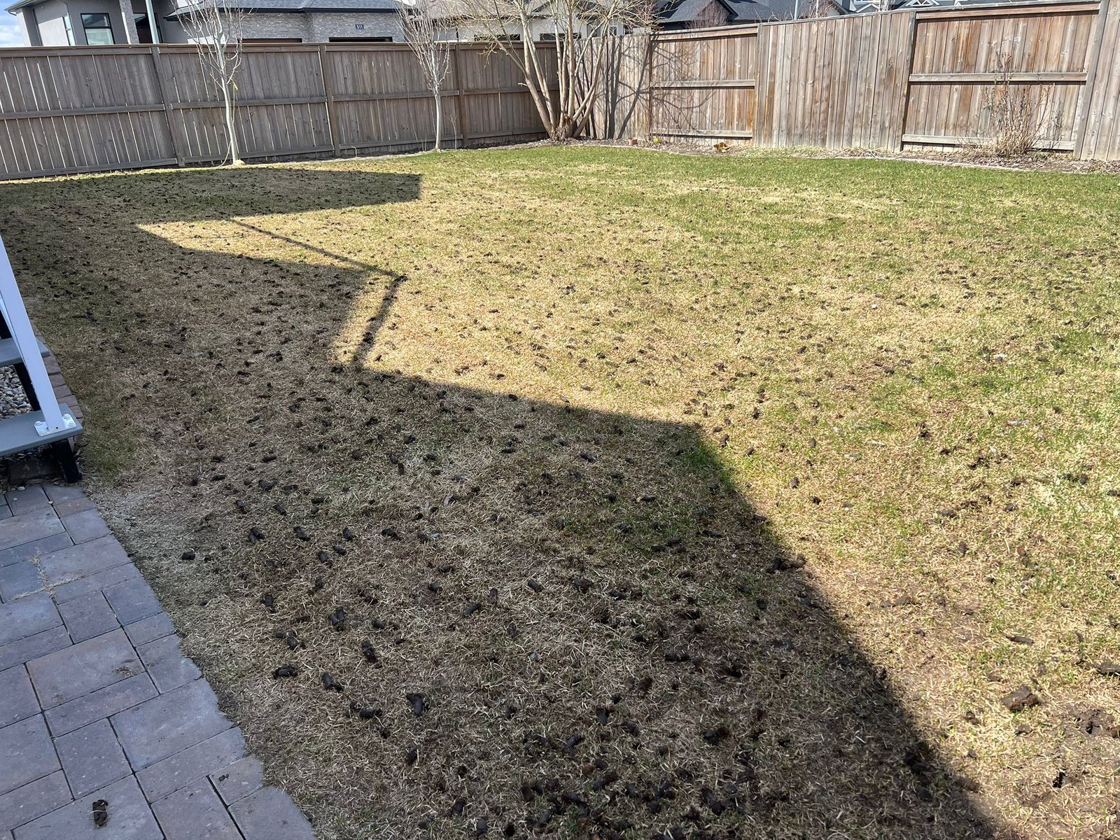 aeration process