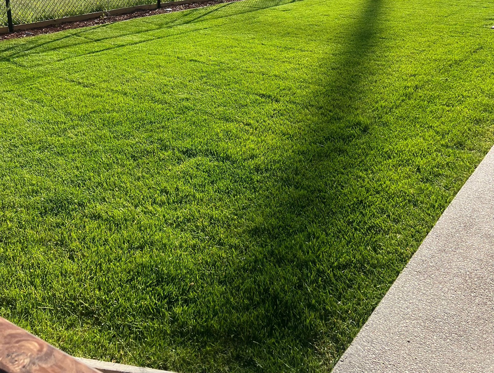 grass cutting