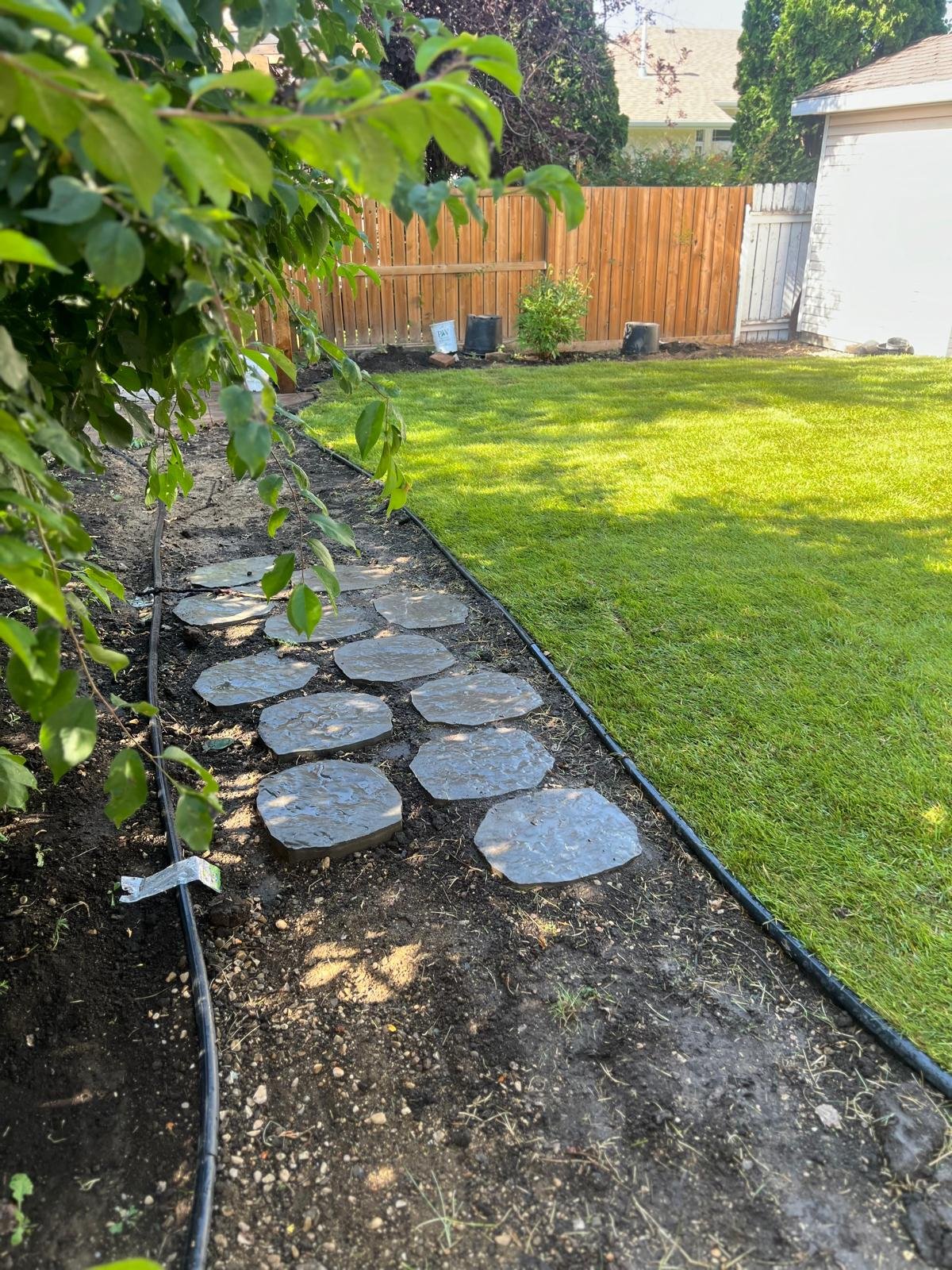 Yard Cleanup