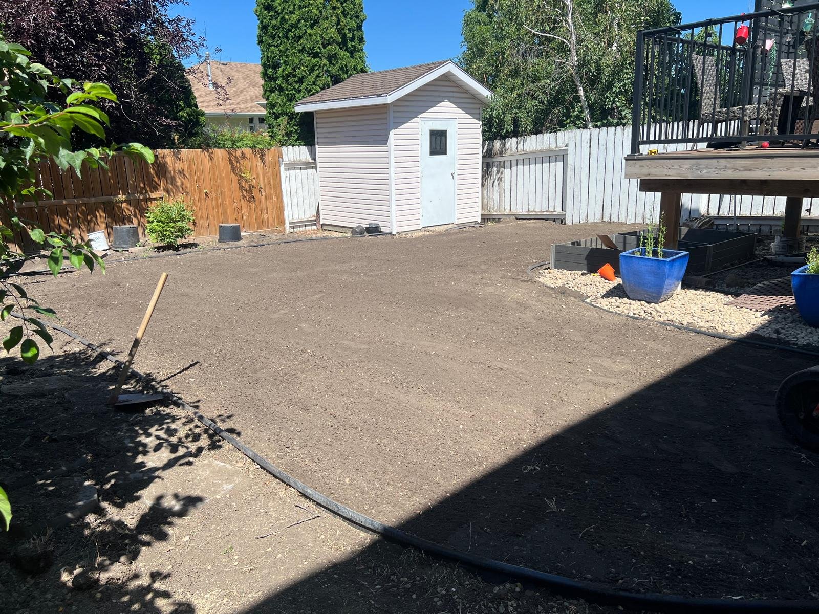 Yard Cleanup