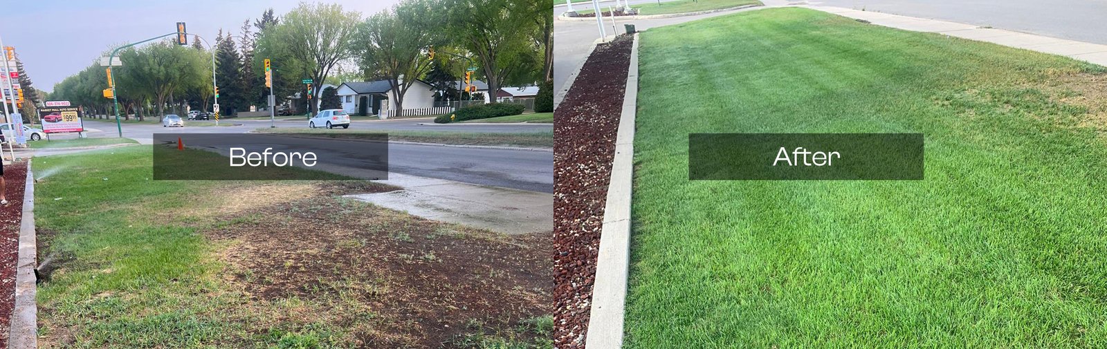 lawn care before after