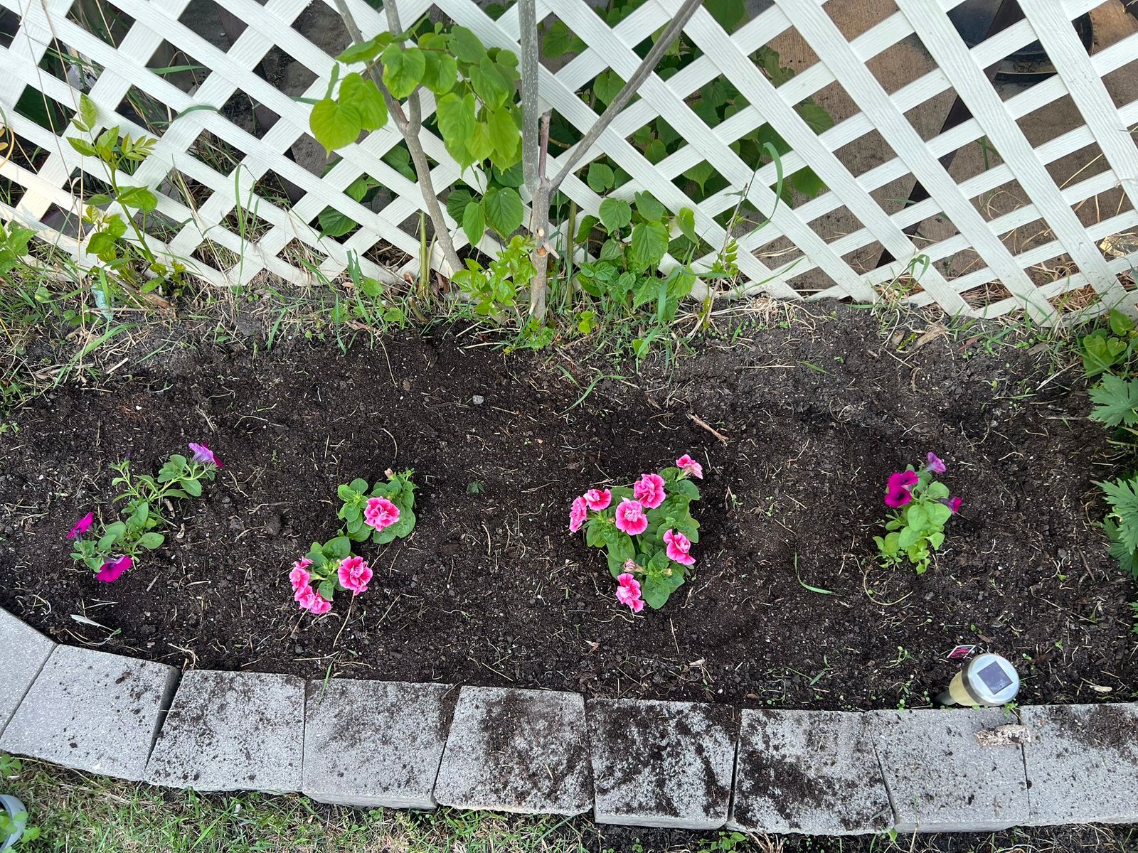 Mulch