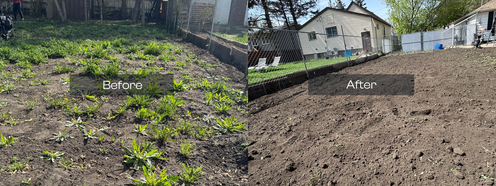 Rototilling Service in Saskatoon before after photo of Rototilling